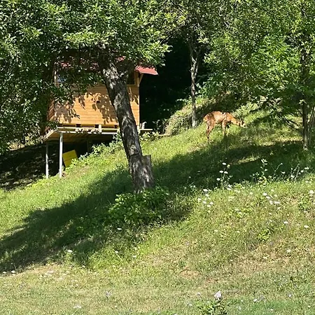 Pensiune Sun House 2*