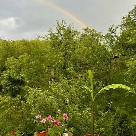 Sun House Gasthof Trjawna