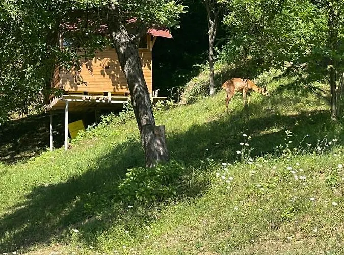 ゲストハウス Sun House 2*