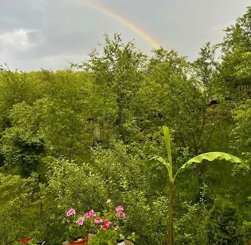 Sun House ゲストハウス トリャブナ